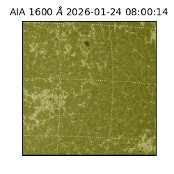 saia - 2026-01-24T08:00:14.126000