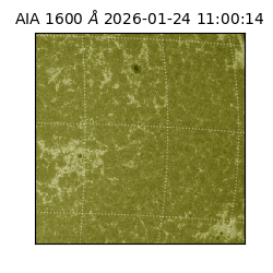 saia - 2026-01-24T11:00:14.125000