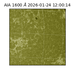 saia - 2026-01-24T12:00:14.126000