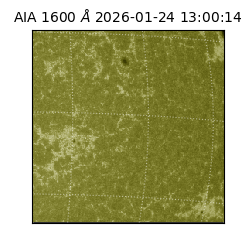 saia - 2026-01-24T13:00:14.125000