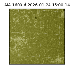 saia - 2026-01-24T15:00:14.126000