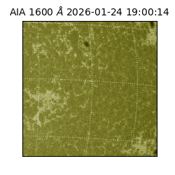 saia - 2026-01-24T19:00:14.126000