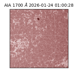 saia - 2026-01-24T01:00:28.718000