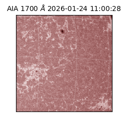 saia - 2026-01-24T11:00:28.717000