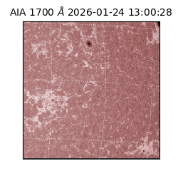 saia - 2026-01-24T13:00:28.717000