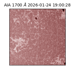 saia - 2026-01-24T19:00:28.717000