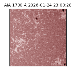 saia - 2026-01-24T23:00:28.717000