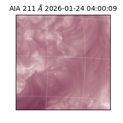 saia - 2026-01-24T04:00:09.626000