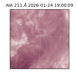 saia - 2026-01-24T19:00:09.634000