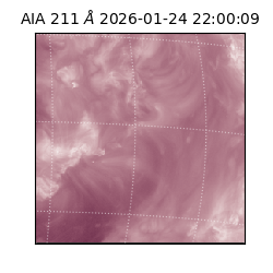 saia - 2026-01-24T22:00:09.626000