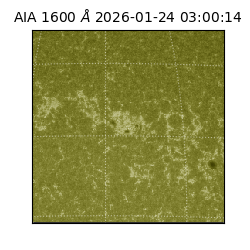 saia - 2026-01-24T03:00:14.126000