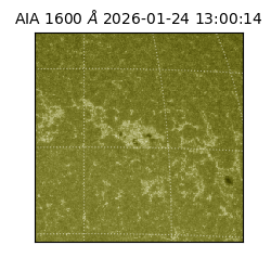 saia - 2026-01-24T13:00:14.125000