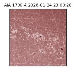 saia - 2026-01-24T23:00:28.717000