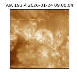 saia - 2026-01-24T09:00:04.844000