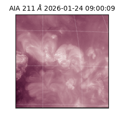 saia - 2026-01-24T09:00:09.630000