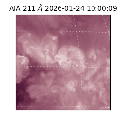 saia - 2026-01-24T10:00:09.626000