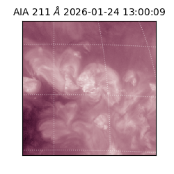 saia - 2026-01-24T13:00:09.632000