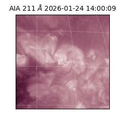 saia - 2026-01-24T14:00:09.633000