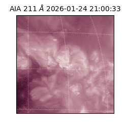 saia - 2026-01-24T21:00:33.626000