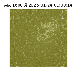 saia - 2026-01-24T01:00:14.125000