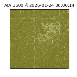 saia - 2026-01-24T06:00:14.124000