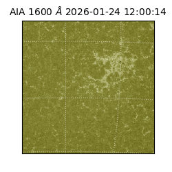 saia - 2026-01-24T12:00:14.126000