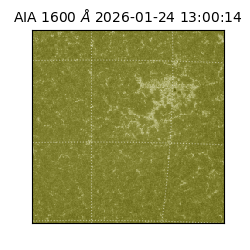 saia - 2026-01-24T13:00:14.125000