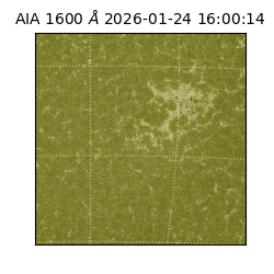 saia - 2026-01-24T16:00:14.126000