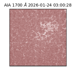 saia - 2026-01-24T03:00:28.717000