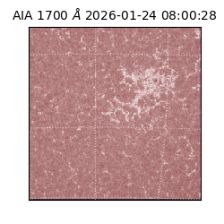 saia - 2026-01-24T08:00:28.718000