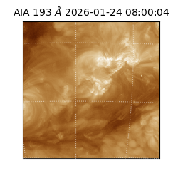 saia - 2026-01-24T08:00:04.843000