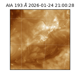 saia - 2026-01-24T21:00:28.843000