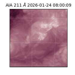 saia - 2026-01-24T08:00:09.633000