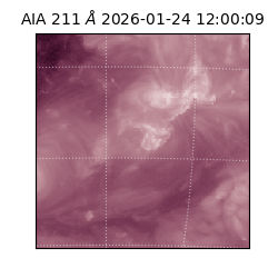 saia - 2026-01-24T12:00:09.630000