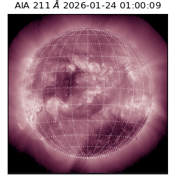 saia - 2026-01-24T01:00:09.626000