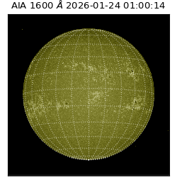 saia - 2026-01-24T01:00:14.125000