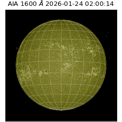 saia - 2026-01-24T02:00:14.125000