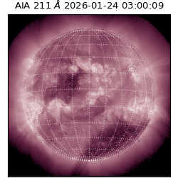 saia - 2026-01-24T03:00:09.626000