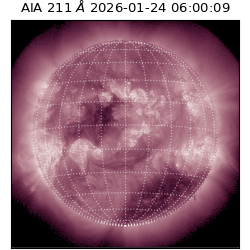 saia - 2026-01-24T06:00:09.618000