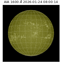 saia - 2026-01-24T08:00:14.126000