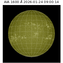 saia - 2026-01-24T09:00:14.132000