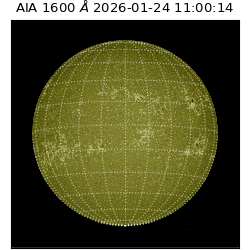 saia - 2026-01-24T11:00:14.125000