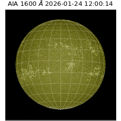 saia - 2026-01-24T12:00:14.126000