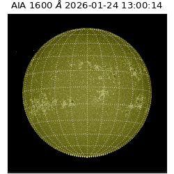 saia - 2026-01-24T13:00:14.125000