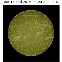 saia - 2026-01-24T22:00:14.126000