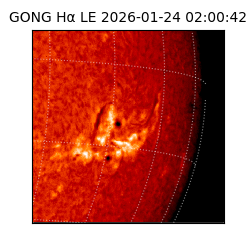 gong - 2026-01-24T02:00:42