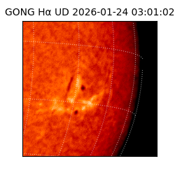 gong - 2026-01-24T03:01:02