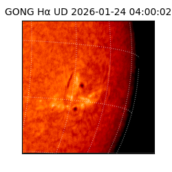 gong - 2026-01-24T04:00:02