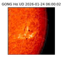 gong - 2026-01-24T06:00:02