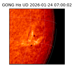 gong - 2026-01-24T07:00:02